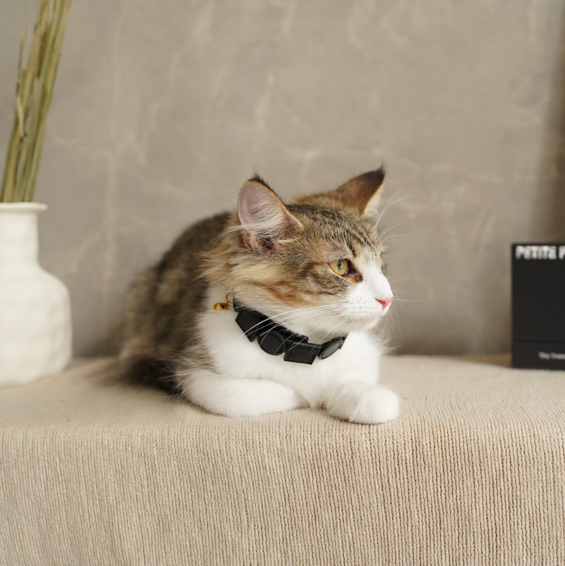 Leather Pet Collar – Geo