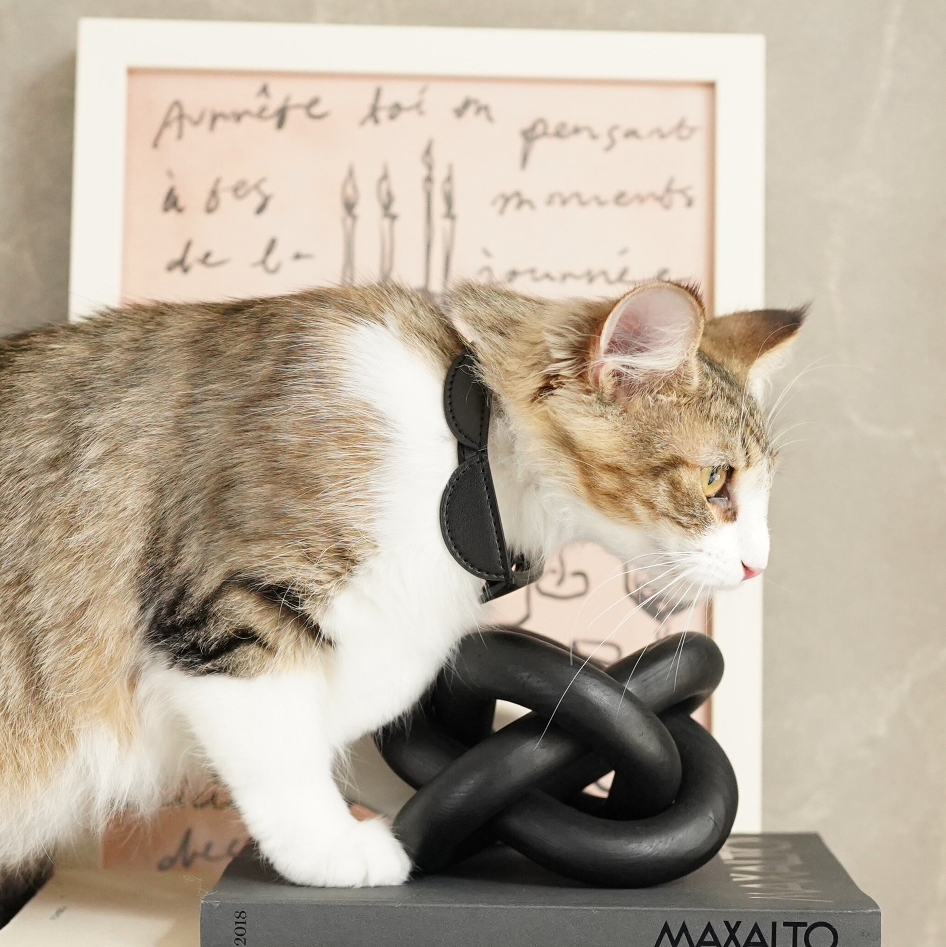 Leather Pet Collar – Half Moon
