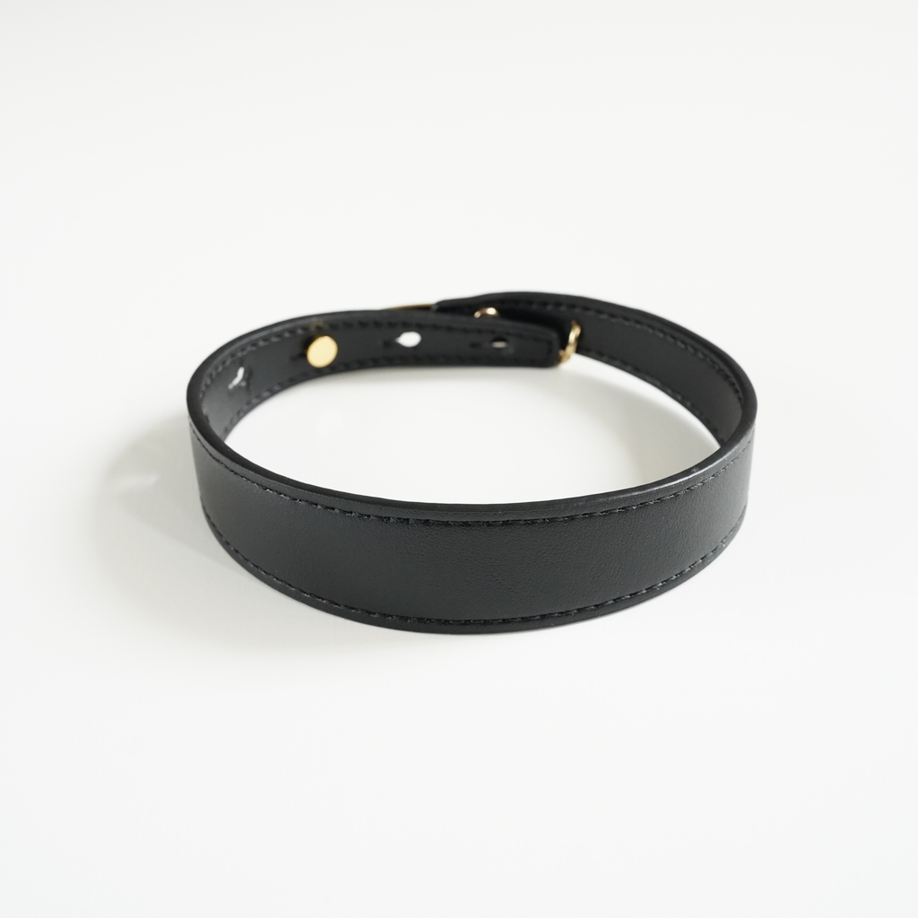 Leather Pet Collar – Sleek