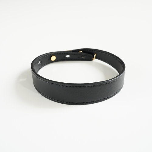 Leather Pet Collar – Sleek